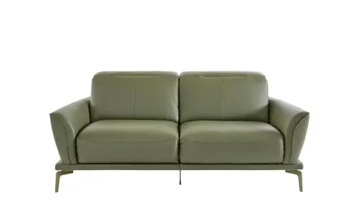 Sofa Amadena - 2-Sitzer inkl. Relaxfunktion motorisch und Kopfteil verstellbar, Leder, Olive