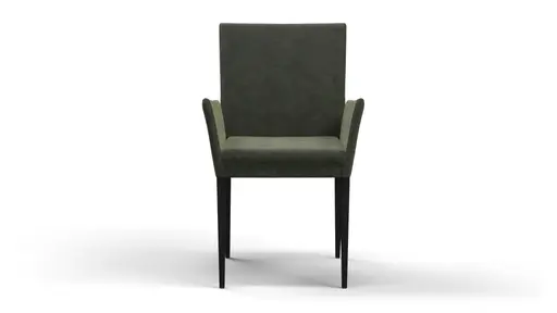 Armlehnstuhl Saragossa - Stoff, Eukalyptus