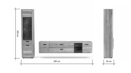 Wohnwand Vigo - Wildeiche massiv, Natur geölt