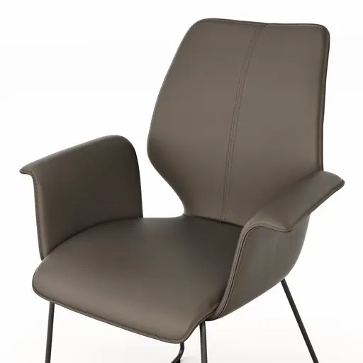 Armlehnstuhl Penthouse - Leder, Dunkelbraun, Kufen, Anthrazit
