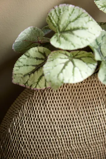 Deko-Vase - LBH ca. 30x12x28 cm, Grün/Grau