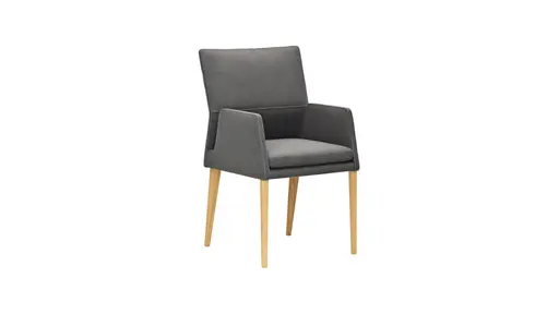 Armlehnstuhl Carry - Leder, Dunkelgrau