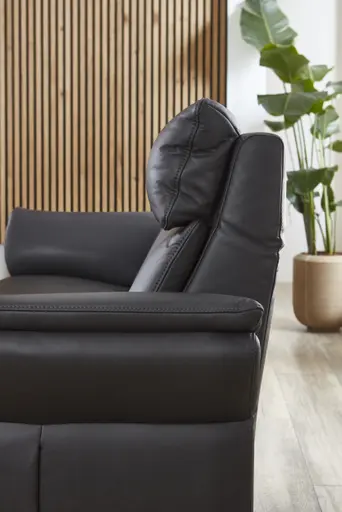 Sofa - 2,5-Sitzer, Leder, Anthrazit