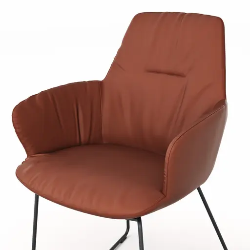 Armlehnstuhl Pegara - Leder, Rost, Kufe