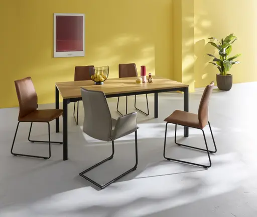 Freischwinger Stine - mit Armlehnen, Leder, Edelstahl gebürstet