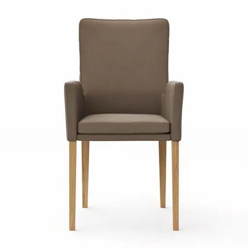 Armlehnstuhl Tuma - Leder, Kitt