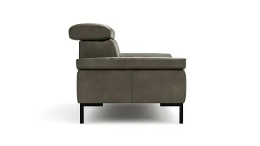 Sofa Hudson - 2,5-Sitzer, inkl. Kopfteil verstellbar, Leder, Braungrün