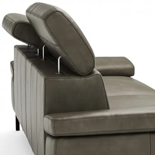 Sofa Hudson - 2,5-Sitzer, inkl. Kopfteil verstellbar, Leder, Braungrün