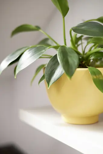 L-Küche 50.100 GL 6 525, Kieselgrau