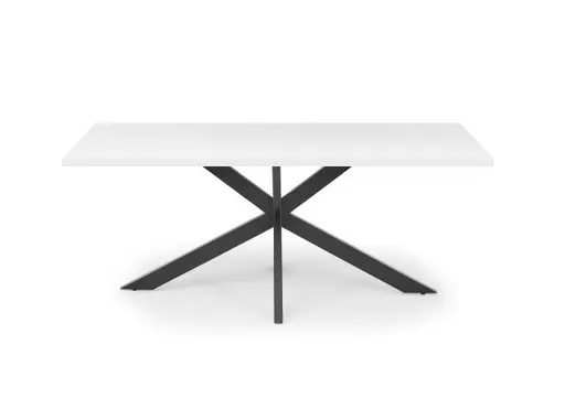 Esstisch - LB ca. 200x100 cm, Weiß, Schwarz