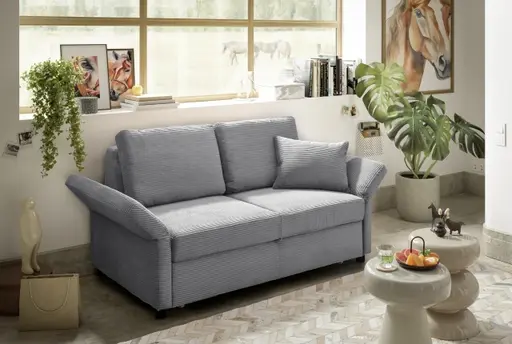 Sofa PRO FLEXX - 2-Sitzer inkl. Schlaffunktion, Stoff, Hellgrau