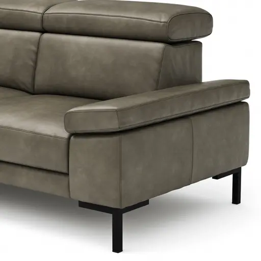 Ecksofa Hudson - Ecke links mit 2,5-Sitzer inkl. Kopfteil verstellbar, Leder, Braungrün