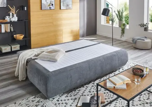 Schlafsofa- 2 Sitzer, Inkl. Bettkasten, Stoff, Grau