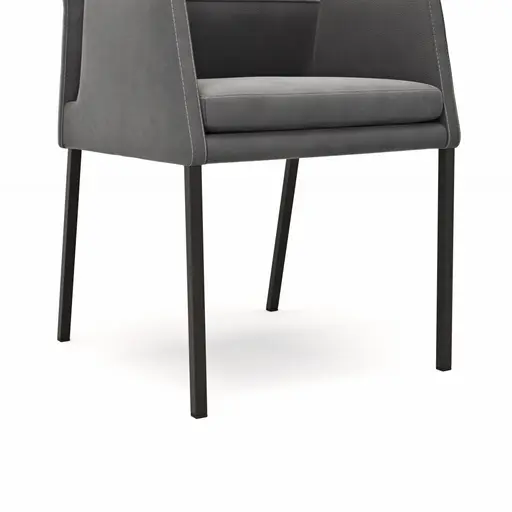 Armlehnstuhl Carry - Leder, Dunkelgrau