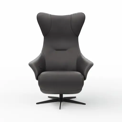 Relaxsessel Follina - Relaxfunktion (motorisch), Leder, Schwarz, Akku