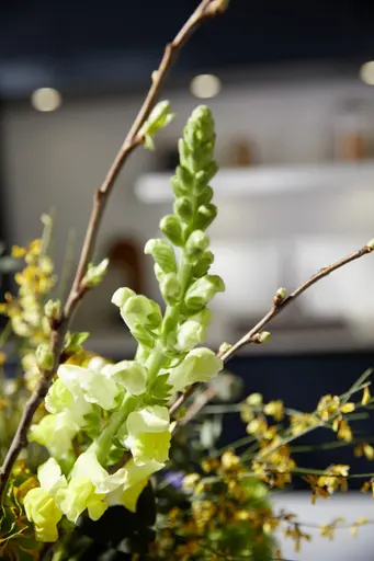 Inselküche 51.230 CO 1V2 525, Rillenoptik Eiche dunkel