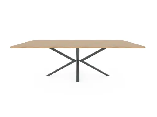 Esstisch Due Viso - LB ca. 220x100 cm, Wildeiche massiv, geölt