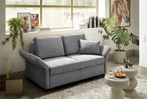 Sofa PRO FLEXX - 2-Sitzer inkl. Schlaffunktion, Stoff, Grau