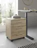 Rollcontainer - B ca. 40 cm, Artisan Eiche Nachbildung