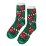 Socken-Geschenkset - Grün
