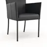 Armlehnstuhl Penthouse - Leder, Schwarz, 4 Fuß, Metall, Schwarz