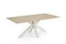 Esstisch, LB ca. 200x100 cm, Eiche massiv
