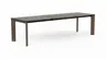 Esstisch Saratoga - ausziehbar, LB ca. 200x95 cm, Buche massiv, silbergrau geölt
