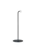 LED-Tischleuchte - 1flg., BHT ca. 20x36x12 cm, Schwarz