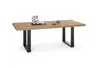Esstisch SITTING EASY - LB ca. 200x100 cm, Wildeiche massiv geölt, Schwarz