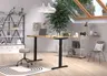Schreibtisch GELI - höhenverstellbar, LB ca. 140x80 cm, Eiche Nachbildung, Schwarz