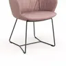 Armlehnstuhl Pegara - Leder, Mauve, Kufe