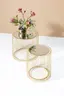 Beistelltisch- 2-er Set, Messing, Pulverbeschichtet, Goldfarben, Glas