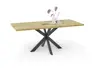 Esstisch - LB ca. 180x90 cm, Asteiche, Schwarz