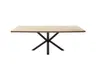 Esstisch - LB ca. 200x100 cm, Wildeiche massiv geölt, Baumkante