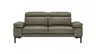 Sofa Hudson - 2,5-Sitzer, inkl. Kopfteil verstellbar, Leder, Braungrün