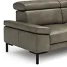 Sofa Hudson - 3-Sitzer, inkl. Kopfteil verstellbar, Leder, Braungrün