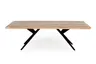 Esstisch - LB ca. 220x100 cm, Mango massiv, Baumkante, Schwarz