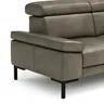 Sofa Hudson - 2,5-Sitzer, inkl. Kopfteil verstellbar, Leder, Braungrün