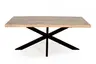 Esstisch - LB ca. 200x100 cm, Mango massiv, Baumkante, Schwarz