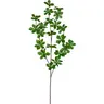 Deko-Louisianazweig - L ca. 71 cm, Grün