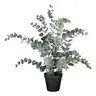 Deko-Eucalypthus - H ca. 53 cm, Grün, Schwarz