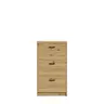 Schuhschrank- Eiche Dekor