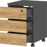 Rollcontainer GRIFFIN - Graphit, Eiche Nachbildung