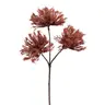 Deko-Urchinzweig - H ca. 37 cm, Bordeaux1023815-03