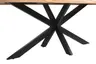 Esstisch - LB ca. 200x100 cm, Mango massiv, Schwarz