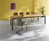 Freischwinger Stine - mit Armlehnen, Leder, Edelstahl gebürstet