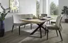 Esstisch Talara Lola - ausziehbar, LB ca. 220x100 cm, Wildeiche Bianco