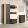 Garderobenschrank - B ca. 60 cm, Anthrazit, Eiche Coast Evoke Nachbildung